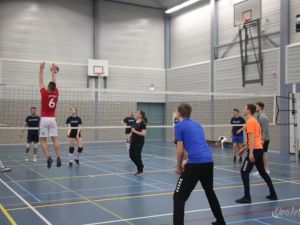 UA190323volleybaltoernooi07.JPG